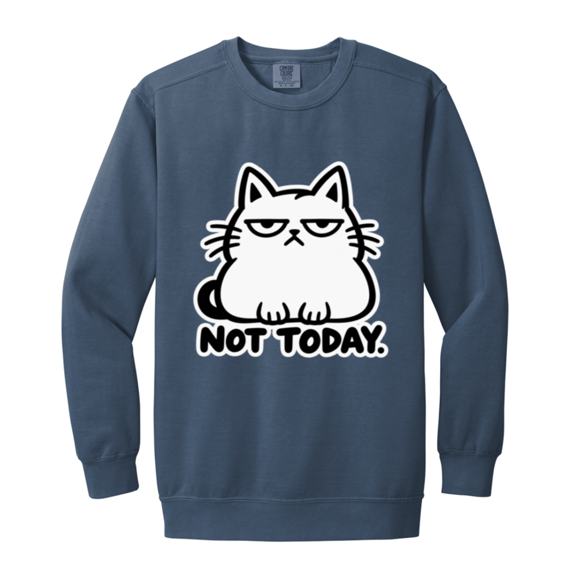 Not Today — Grumpy Cat Sweatshirt